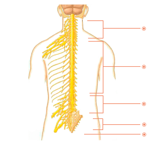 In cui i luoghi è osteocondosi